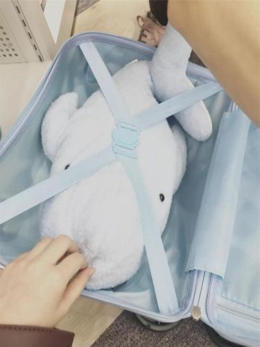 儿童行李箱品牌排行榜(儿童皮箱子哪个牌子的好)插图72 儿童行李箱品牌排行榜(儿童皮箱子哪个牌子的好)插图72