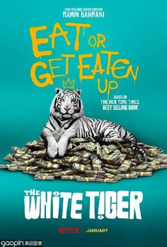 印度大片排行榜前十名(十部2023必看高分电影)插图36