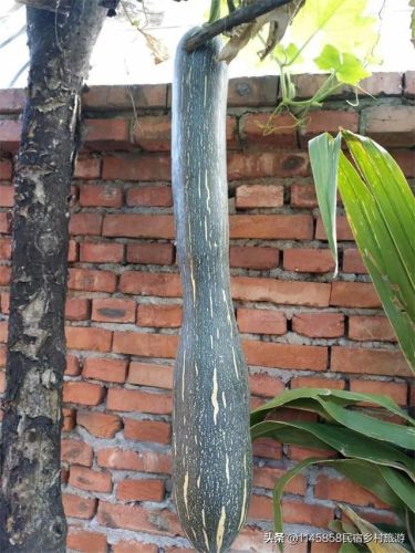 古北水镇农家院排行榜(古北水镇附近的民宿)插图46 古北水镇农家院排行榜(古北水镇附近的民宿)插图46