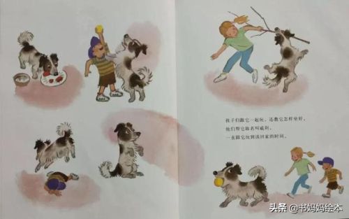 人气总排行榜狗狗书籍(哪些养狗的书比较实用)插图35