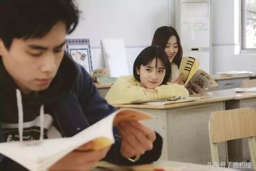 2017网剧点击量排行榜(电视剧实时收视率排行榜)