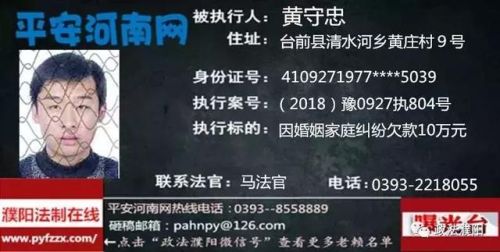 2017台前老赖排行榜(广东台山老赖名单查询)插图15