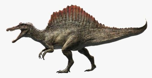 十大巨兽排行榜国语版(全球十大猛兽)插图7