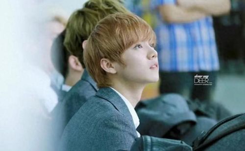 明星收入排行榜2017前十名(经典电视剧排行榜前十名)插图17 明星收入排行榜2017前十名(经典电视剧排行榜前十名)插图17