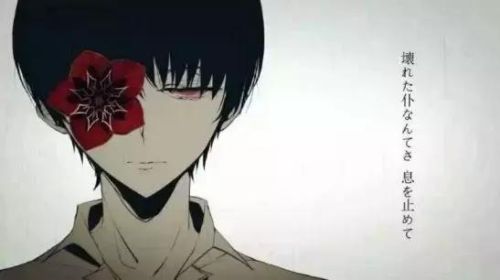 东京食尸鬼战力排行榜(东京喰种战力官方排名)插图9 东京食尸鬼战力排行榜(东京喰种战力官方排名)插图9