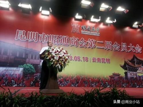 云南富豪榜2017排行榜(云南富豪排名50)插图19