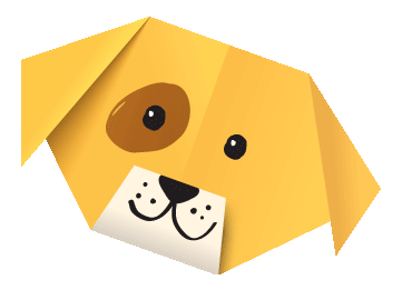 人气总排行榜狗狗书籍(哪些养狗的书比较实用)插图63