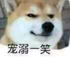 十大忠诚犬排行榜(凶猛又忠诚的大型犬)插图1