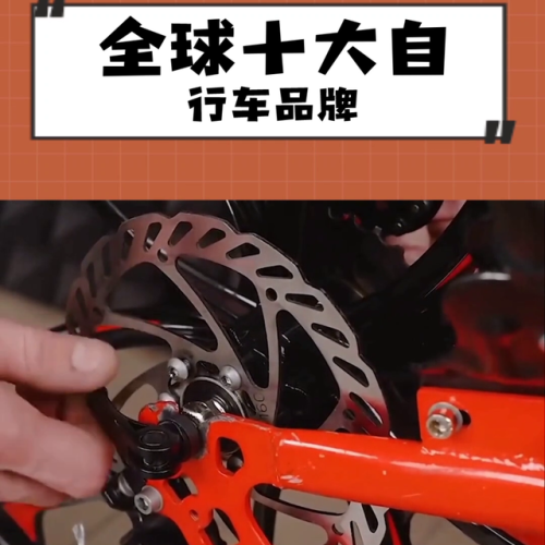 全球自行车品牌排行榜(世界10大顶级自行车品牌)插图2