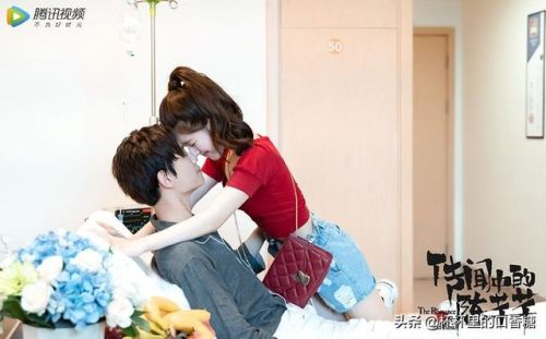 2017言情剧排行榜(评分最高的言情电视剧)插图29