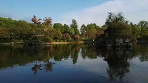 双流附近农家乐排行榜(成都华阳农家乐推荐排行榜)插图11