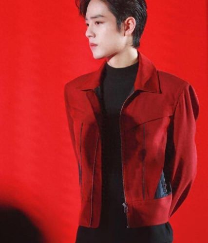 明星网络影响力指数排行榜2017(明星热度指数排行榜)插图