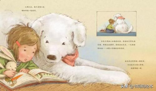 人气总排行榜狗狗书籍(哪些养狗的书比较实用)插图22