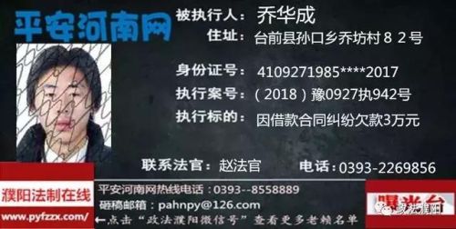 2017台前老赖排行榜(广东台山老赖名单查询)插图16