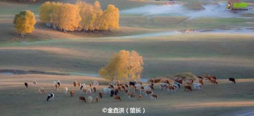 九月国内旅游排行榜(国内必去的景点排行榜)插图27