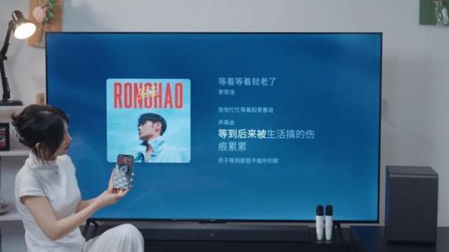 乐华名牌电视机排行榜(65寸电视哪个牌子好)插图15