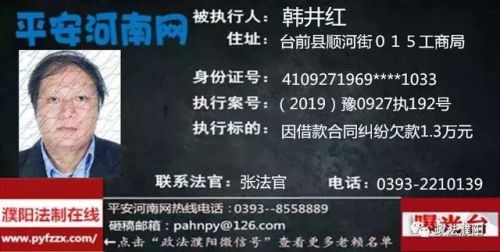 2017台前老赖排行榜(广东台山老赖名单查询)插图12