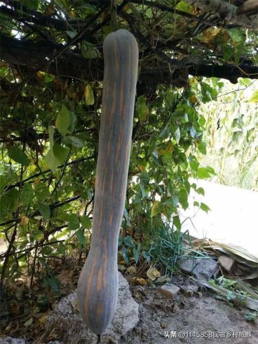 古北水镇农家院排行榜(古北水镇附近的民宿)插图45 古北水镇农家院排行榜(古北水镇附近的民宿)插图45