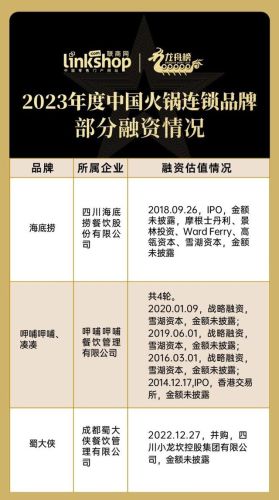 名牌火锅加盟店排行榜(最火的火锅加盟店有哪些)插图5