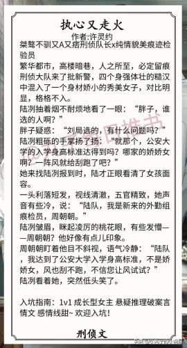 好听的刑侦小说排行榜(高评分刑侦类小说)插图4