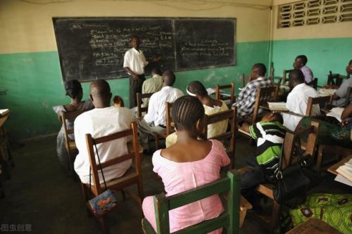 木薯排行榜(木薯有几种品种图片)插图15