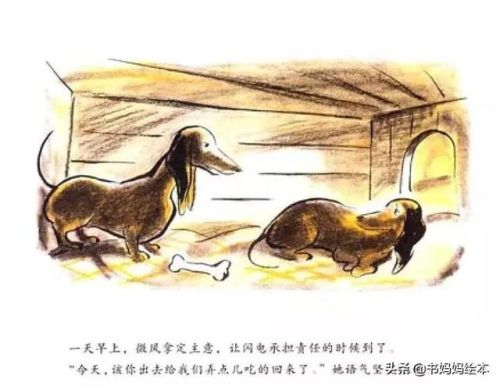 人气总排行榜狗狗书籍(哪些养狗的书比较实用)插图29