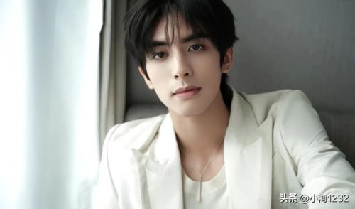邢昭林男明星排行榜(邢昭林长得像谁)插图35 邢昭林男明星排行榜(邢昭林长得像谁)插图35