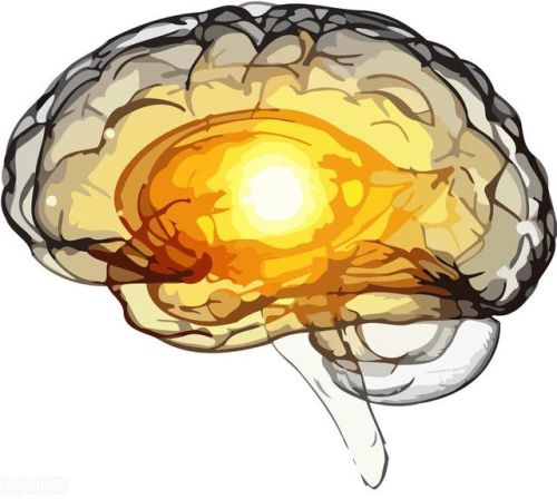 记忆力训练书籍排行榜(记忆力书籍排名第一)插图