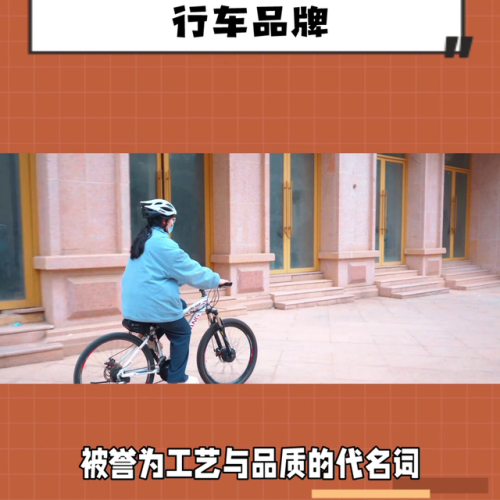 自行车收藏品牌排行榜(中国名牌自行车)插图1