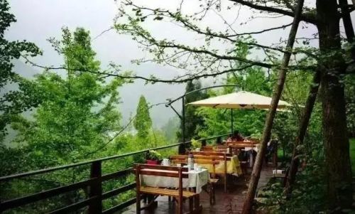 双流附近农家乐排行榜(成都华阳农家乐推荐排行榜)插图17