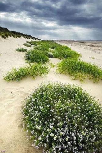 世界风景区排行榜(国内必去的景点排行榜)插图44