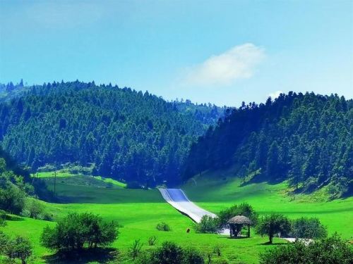 重庆市内景点排行榜(重庆市的旅游景点排名)插图25