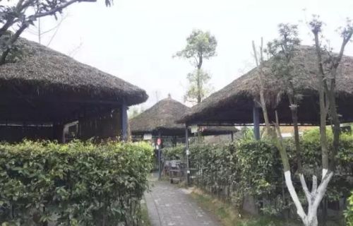 双流附近农家乐排行榜(成都华阳农家乐推荐排行榜)插图5