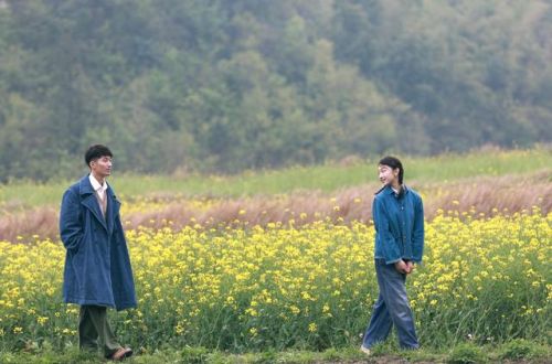 爱情大片排行榜前十名(必看的经典爱情电影)插图3