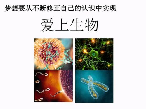 高中生物资料书排行榜(高中生物适合买什么资料)插图 高中生物资料书排行榜(高中生物适合买什么资料)插图