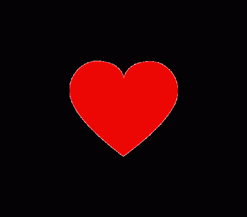 十大忠诚犬排行榜(凶猛又忠诚的大型犬)插图18