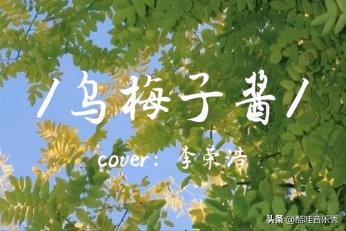 听最新流行歌曲排行榜(90后初中听的流行歌曲)插图 听最新流行歌曲排行榜(90后初中听的流行歌曲)插图
