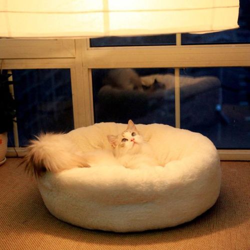 猫咪羊奶粉排行榜10强(口碑最好的宠物羊奶粉)插图1 猫咪羊奶粉排行榜10强(口碑最好的宠物羊奶粉)插图1