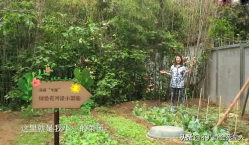 中国内陆视帝排行榜(历届视帝视后)插图16 中国内陆视帝排行榜(历届视帝视后)插图16