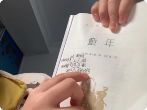 学生小说排行榜前十名(12至15岁青少年必读的十本小说书)