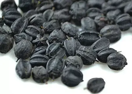 十大补品药材排行榜(中草药保健品第一名)插图8