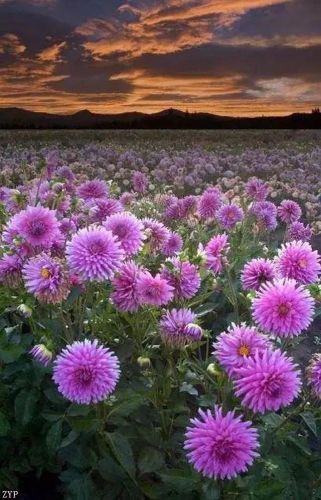 世界风景区排行榜(国内必去的景点排行榜)插图5