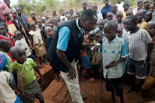 木薯排行榜(木薯有几种品种图片)插图2