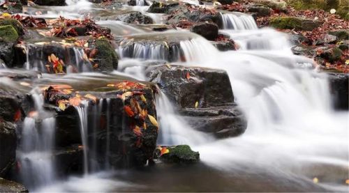 排行榜108(排行榜总点击榜)插图7 排行榜108(排行榜总点击榜)插图7