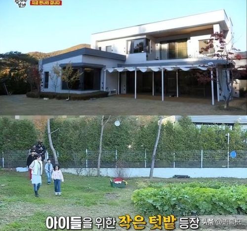 明星豪宅排行榜图片集(豪宅排名)插图4