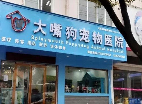 小宠物加盟店排行榜(宠物店加盟大概要多少钱)插图3 小宠物加盟店排行榜(宠物店加盟大概要多少钱)插图3