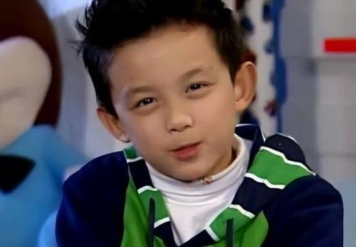 童心排行榜(童星排行榜前100名)插图12