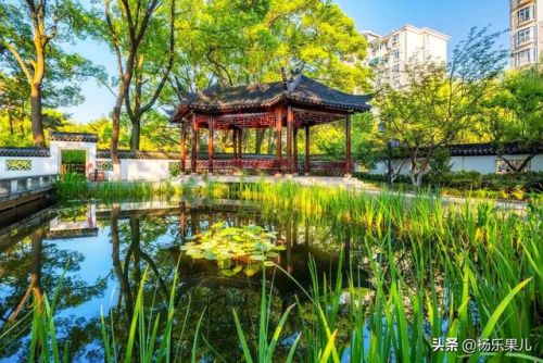 闵行好玩的地方排行榜(闵行十大必去景点)插图16