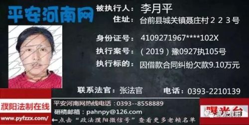 2017台前老赖排行榜(广东台山老赖名单查询)插图