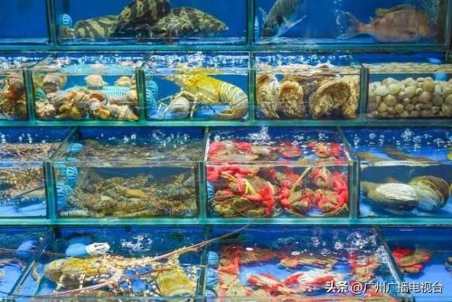 广州吃海鲜地方排行榜(广州吃海鲜大排档一条街)插图9